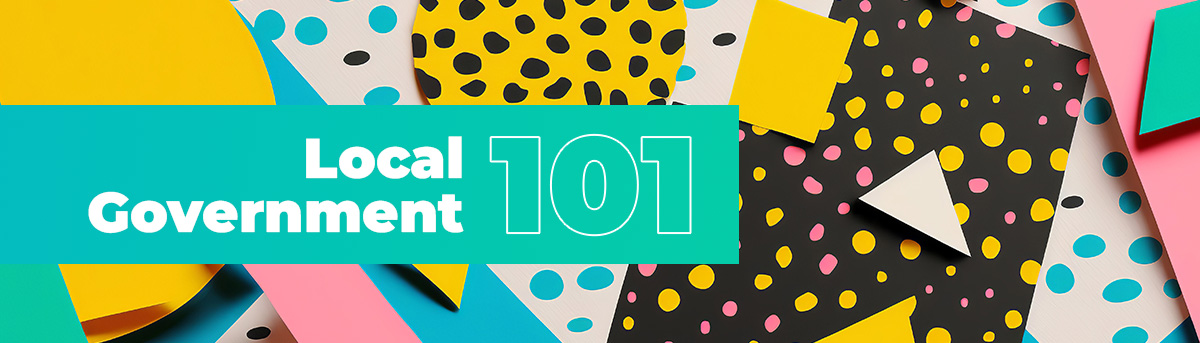 Local Government 101